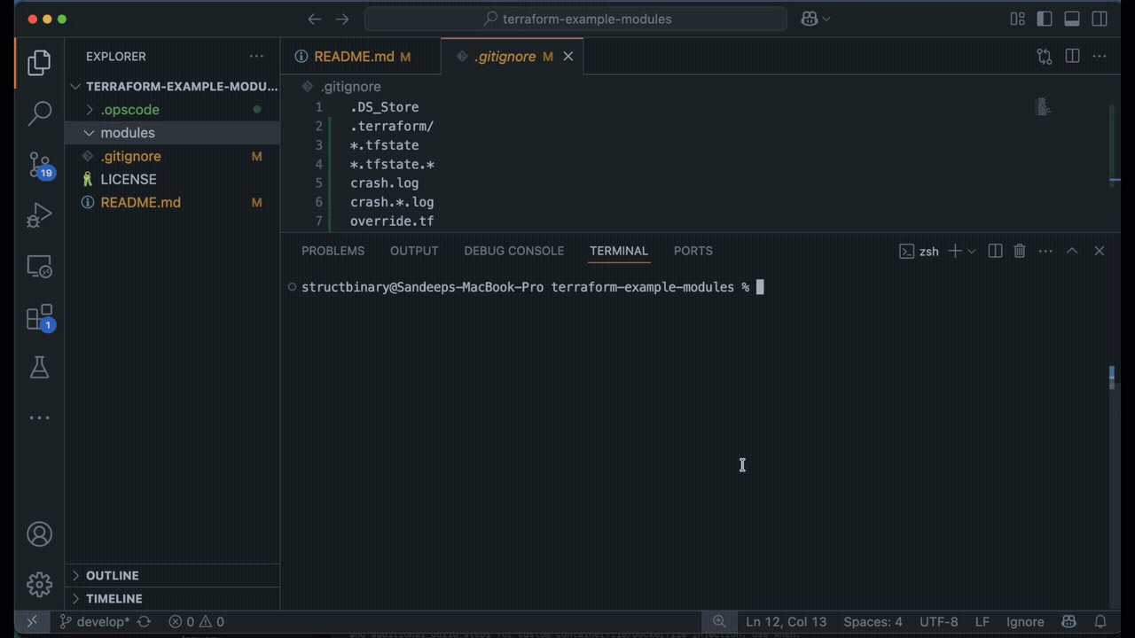 OpsCode Terminal AI Coding Agent Demo